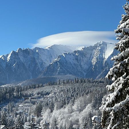 Pine Peak Apartments Predeál Kültér fotó