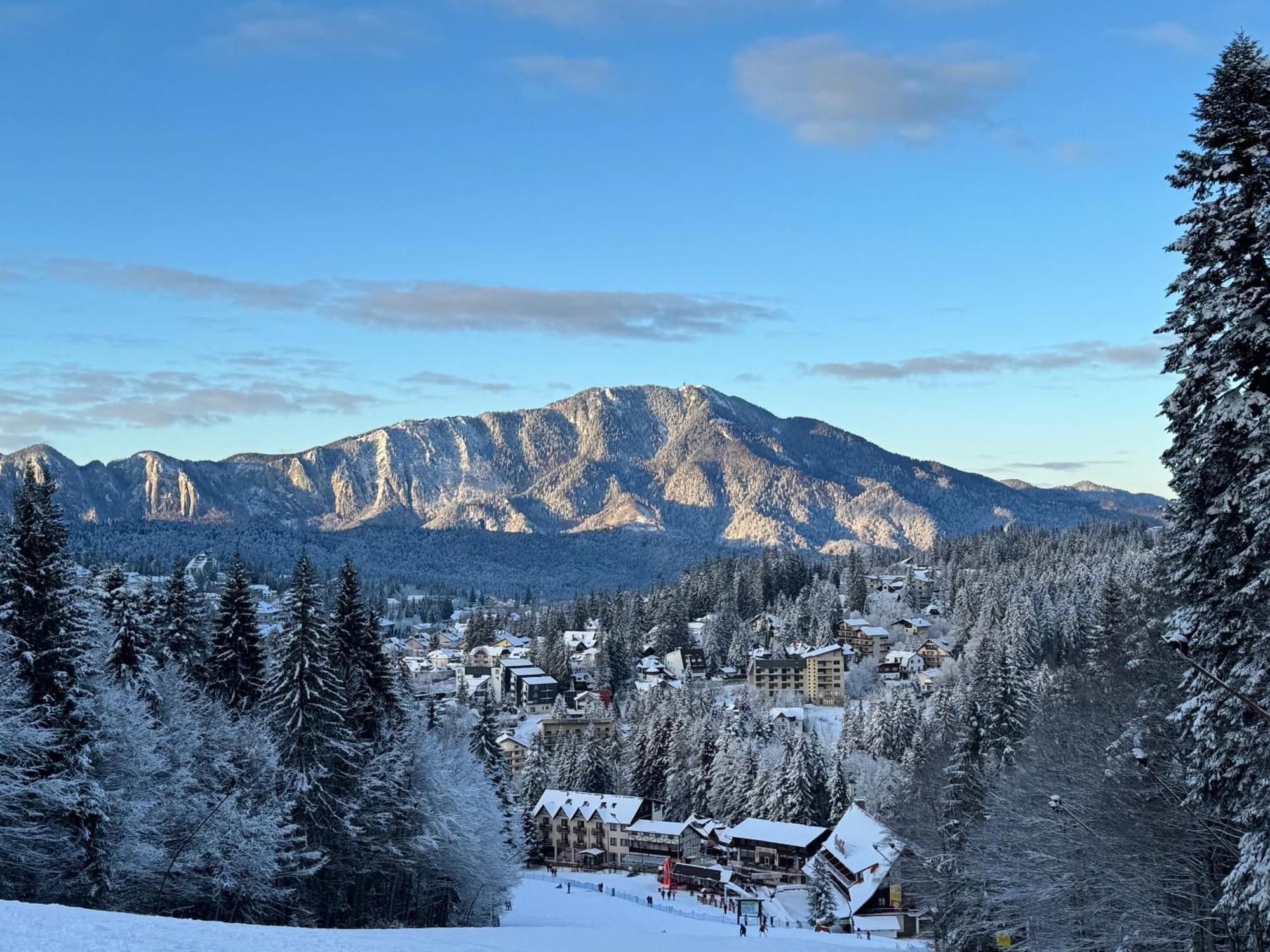 Pine Peak Apartments Predeál Kültér fotó