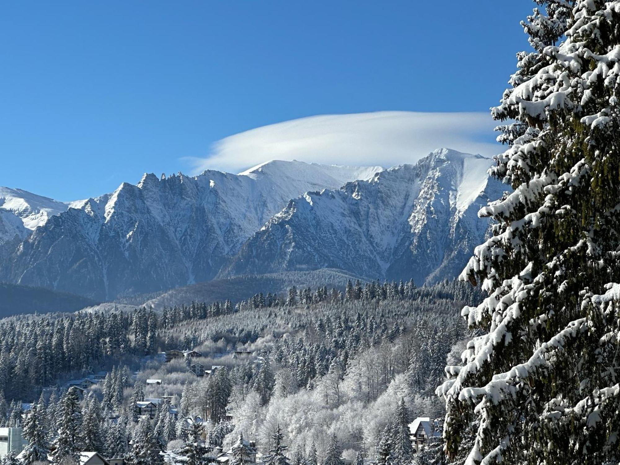 Pine Peak Apartments Predeál Kültér fotó
